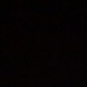 Meet your Posher, Deonte